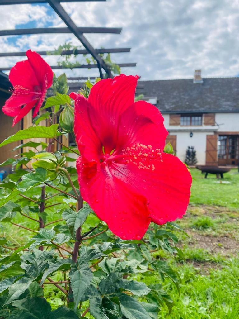 Le Chene D'Or Bed & Breakfast Marcheseuil Eksteriør bilde
