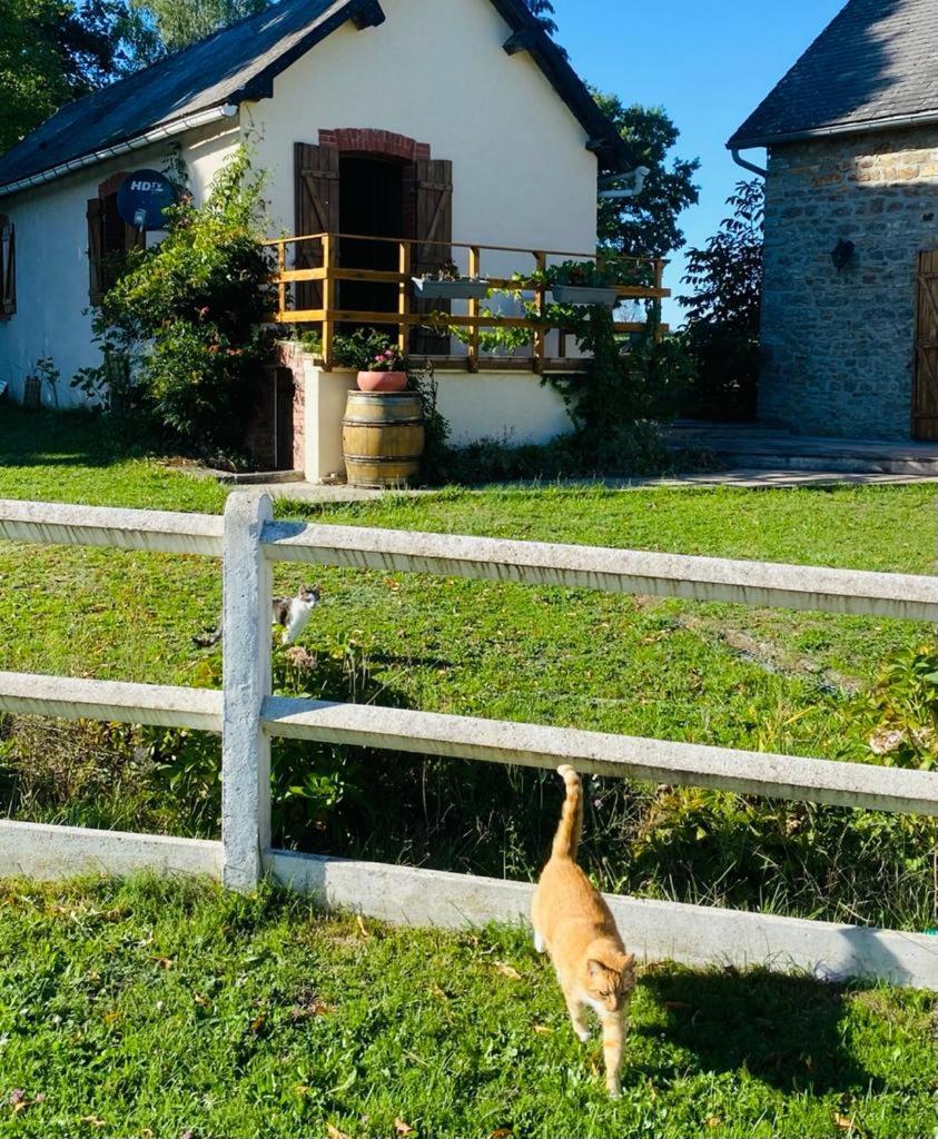 Le Chene D'Or Bed & Breakfast Marcheseuil Eksteriør bilde